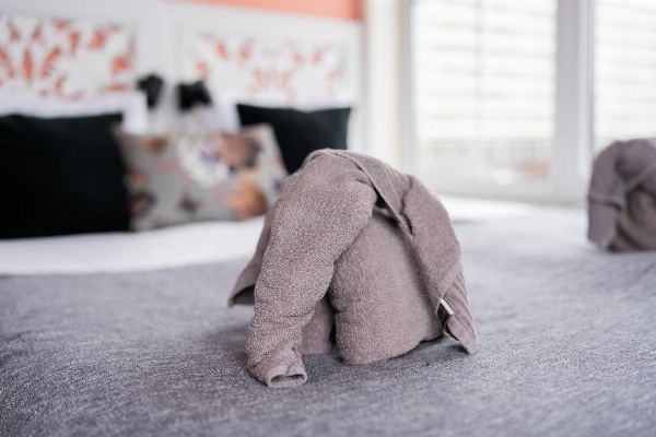 Boutique Lodge Zandvoort image 4